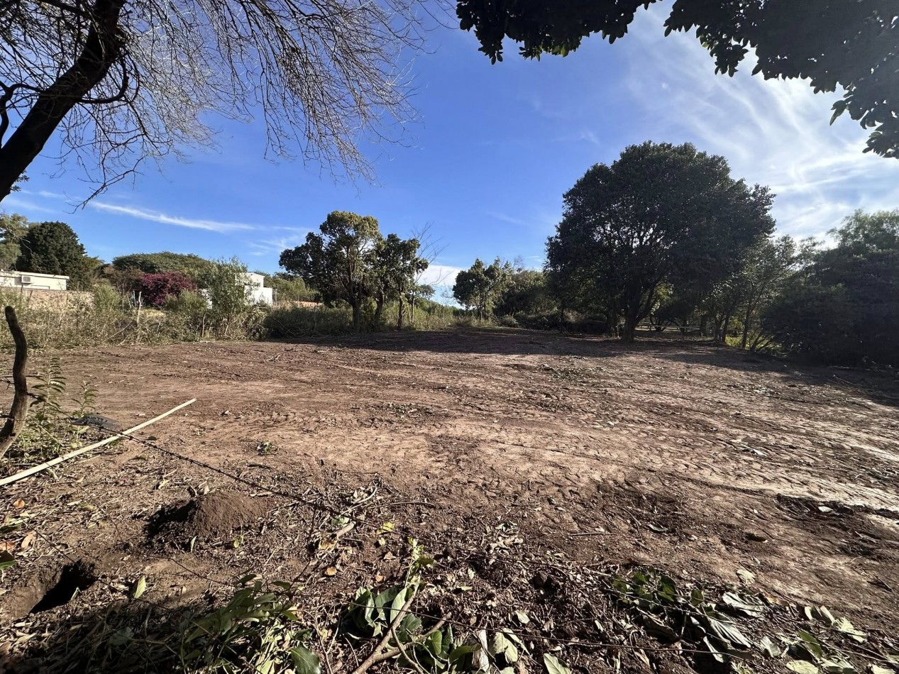 VENDO TERRENO SOBRE AV. ZANNI 